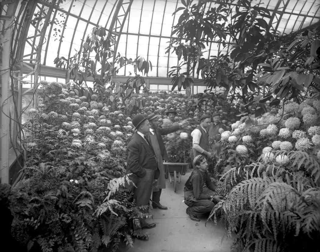 Fall Flower Show 1907