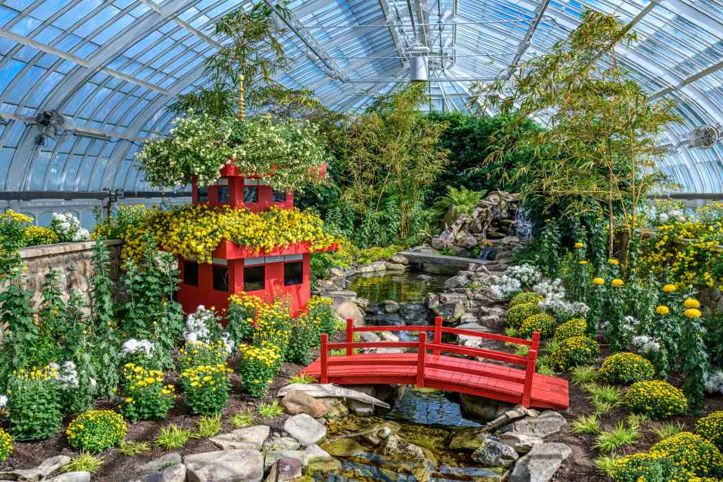 Fall Flower Show 2025: Visions of Japan