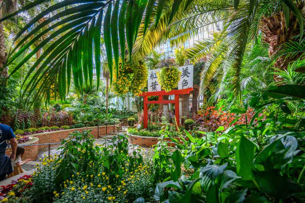 Fall Flower Show 2025: Visions of Japan