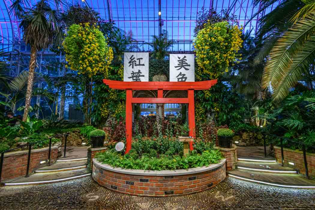 Fall Flower Show 2025: Visions of Japan