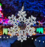 Festive Nights of Winter Lights