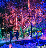 Festive Nights of Winter Lights