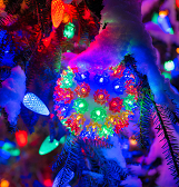 Festive Nights of Winter Lights