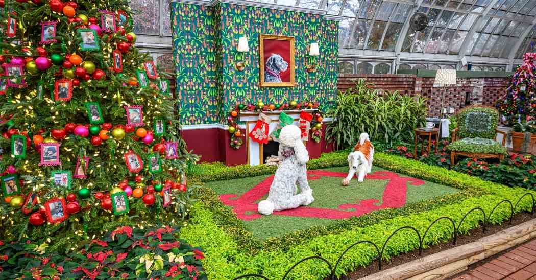 Winter Flower Show 2025: Phipps Holiday Magic