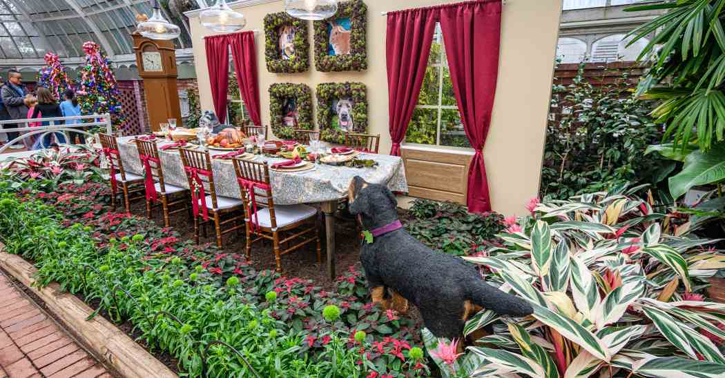 Winter Flower Show 2025: Phipps Holiday Magic