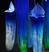 SUPER. NATURAL. Glass Art by Jason Gamrath SUPER. NATURAL. Glass Art by Jason Gamrath