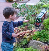 Garden Railroad: Memories in Motion Garden Railroad: Memories in Motion