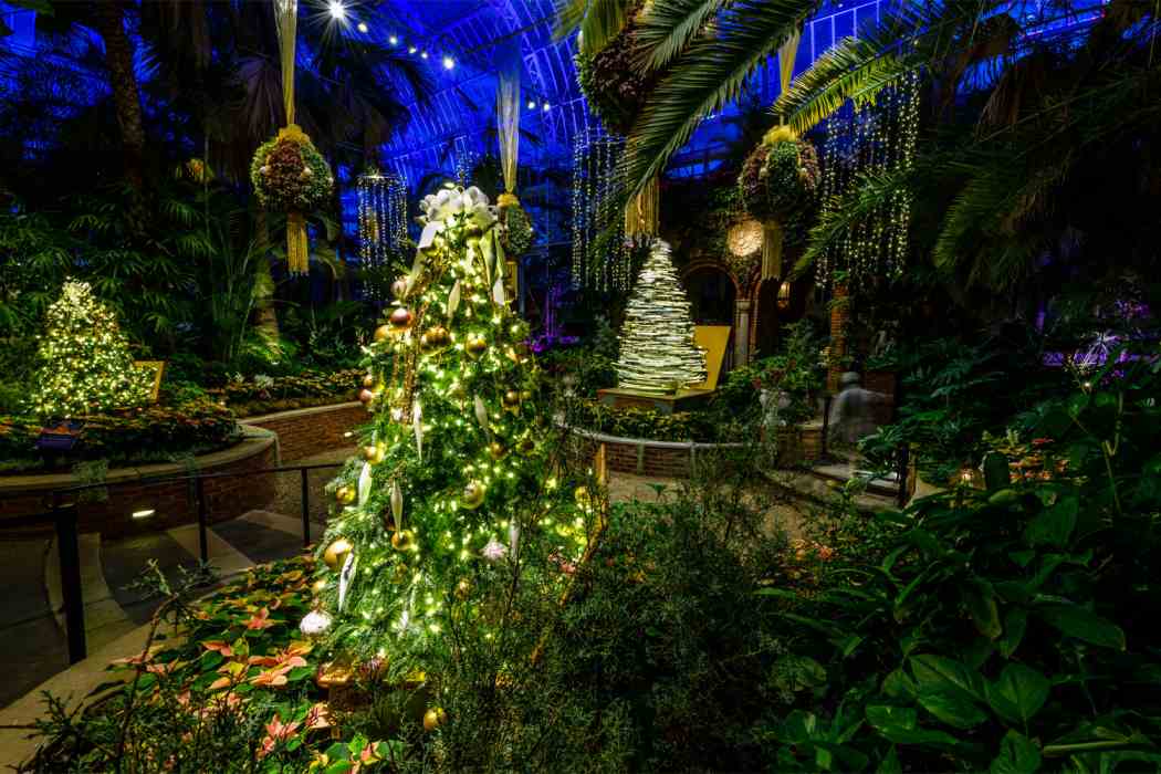 Winter Flower Show and Light Garden 2021: Holiday Magic!