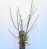 Ikebana International Exhibit