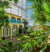 2019 Phipps Weddings Showcase 2019 Phipps Weddings Showcase