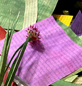 Lisa Meek’s BiblioBotany Lisa Meek’s BiblioBotany