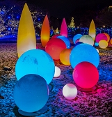 Festive Nights of Winter Lights Festive Nights of Winter Lights