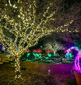Holiday Magic! Winter Flower Show and Light Garden Holiday Magic! Winter Flower Show and Light Garden