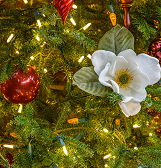 Phipps Holiday Magic