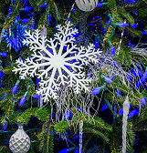 Phipps Holiday Magic