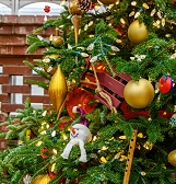 Santa Visits Santa Visits