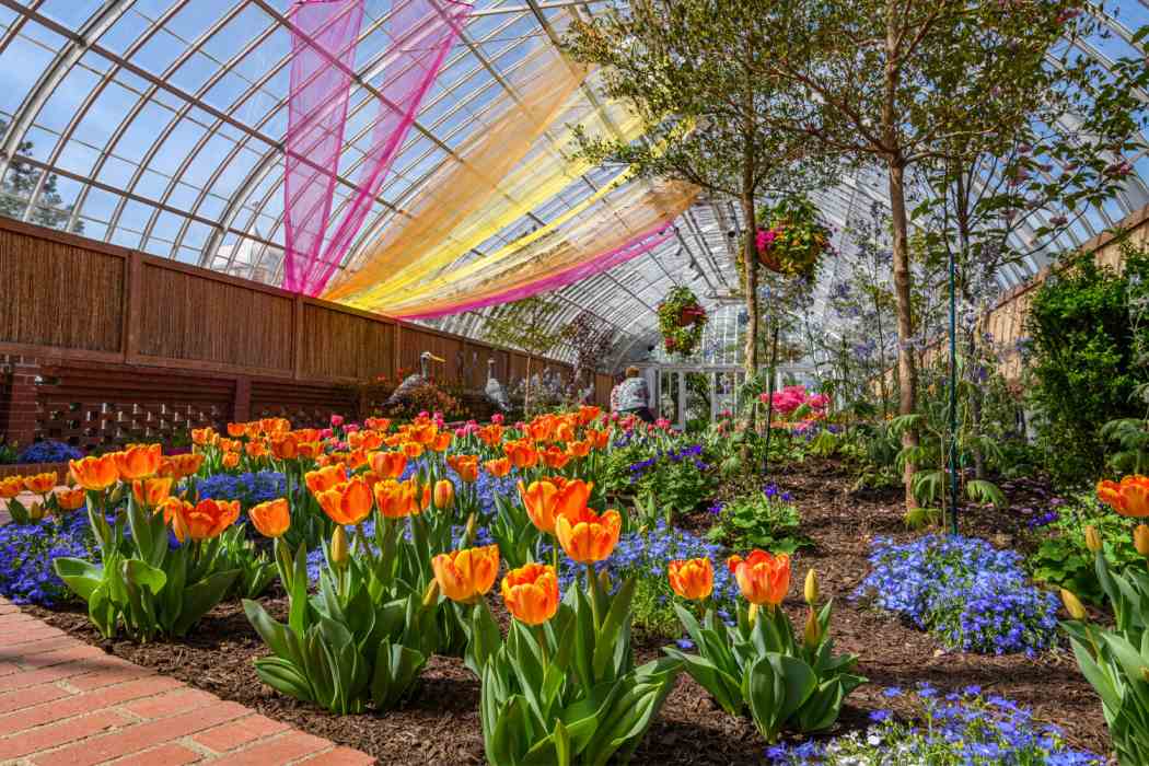 Spring Flower Show 2022: Sunshine and Rainbows