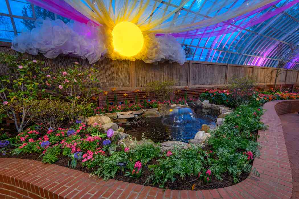 Spring Flower Show 2026: True Colors