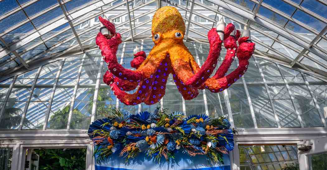 Winter Flower Show 2025: Phipps Holiday Magic