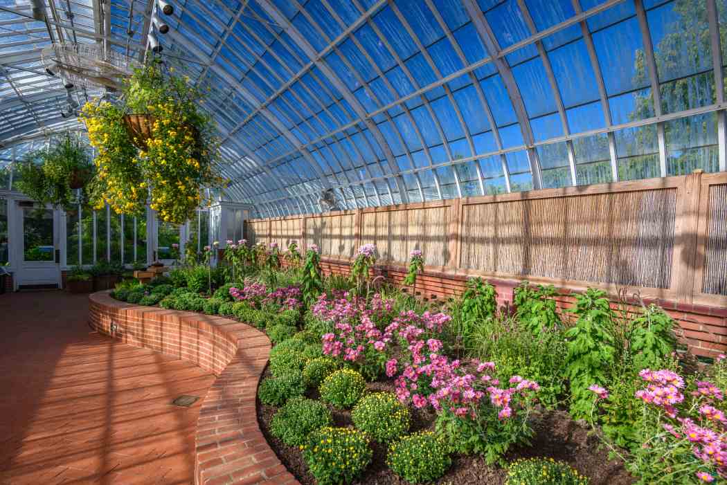 Fall Flower Show 2025: Visions of Japan