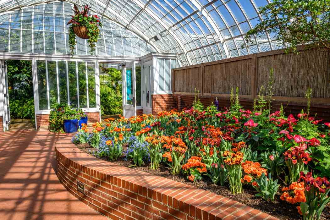 Spring Flower Show 2026: True Colors