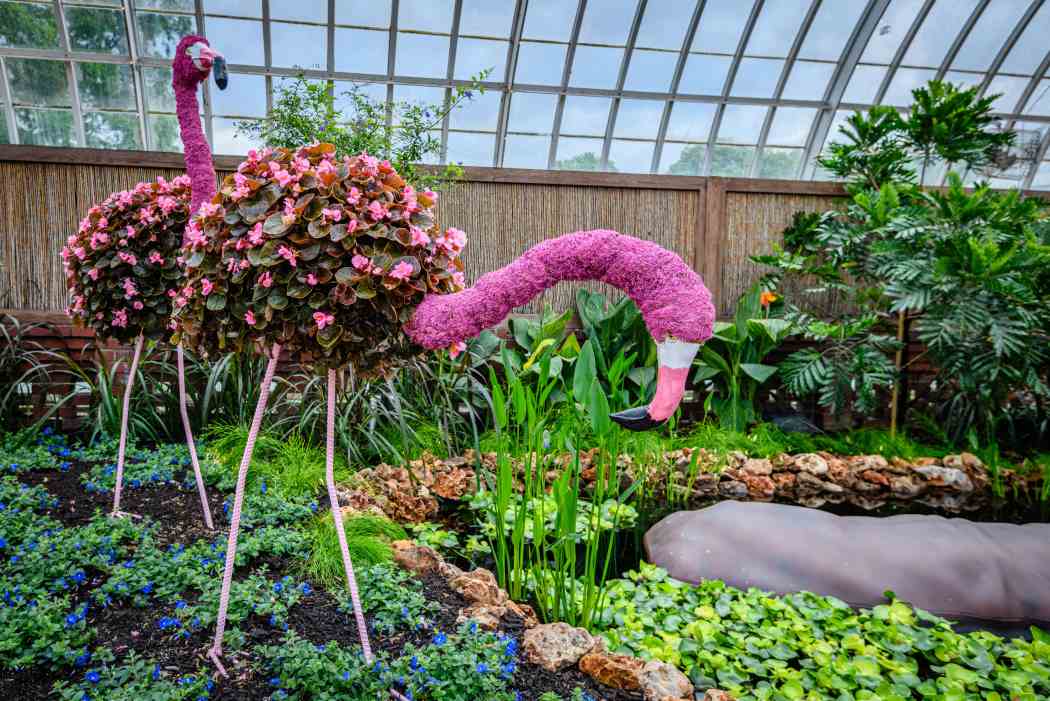 Summer Flower Show 2025: Jungle Quest