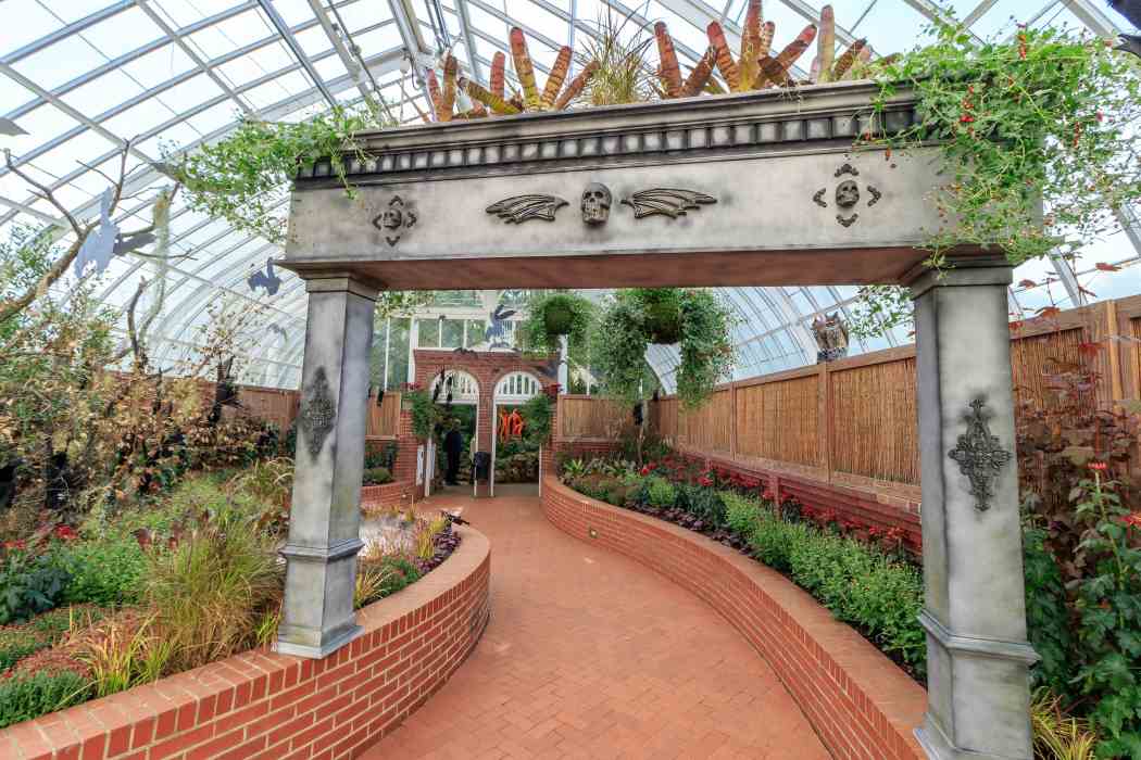 Fall Flower Show 2018: 125 Years of Wonder