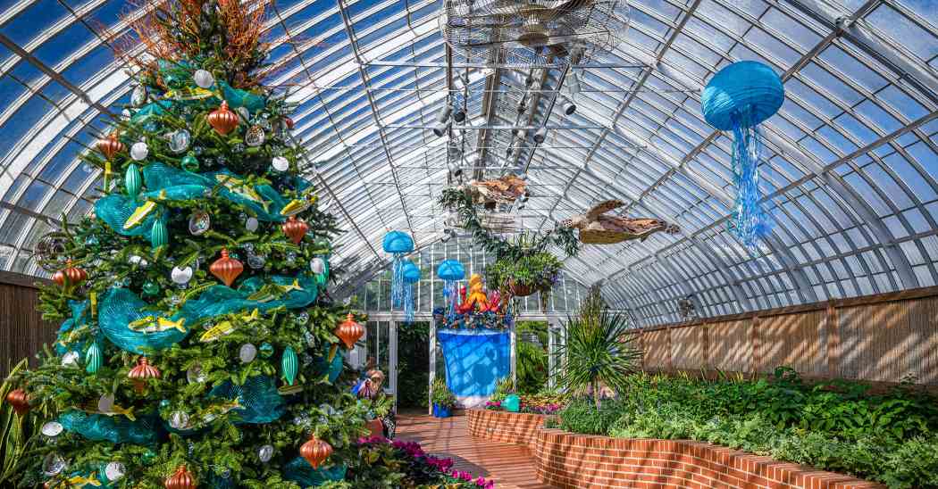 Winter Flower Show 2025: Phipps Holiday Magic