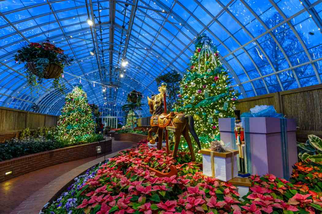 Winter Flower Show and Light Garden 2021: Holiday Magic!