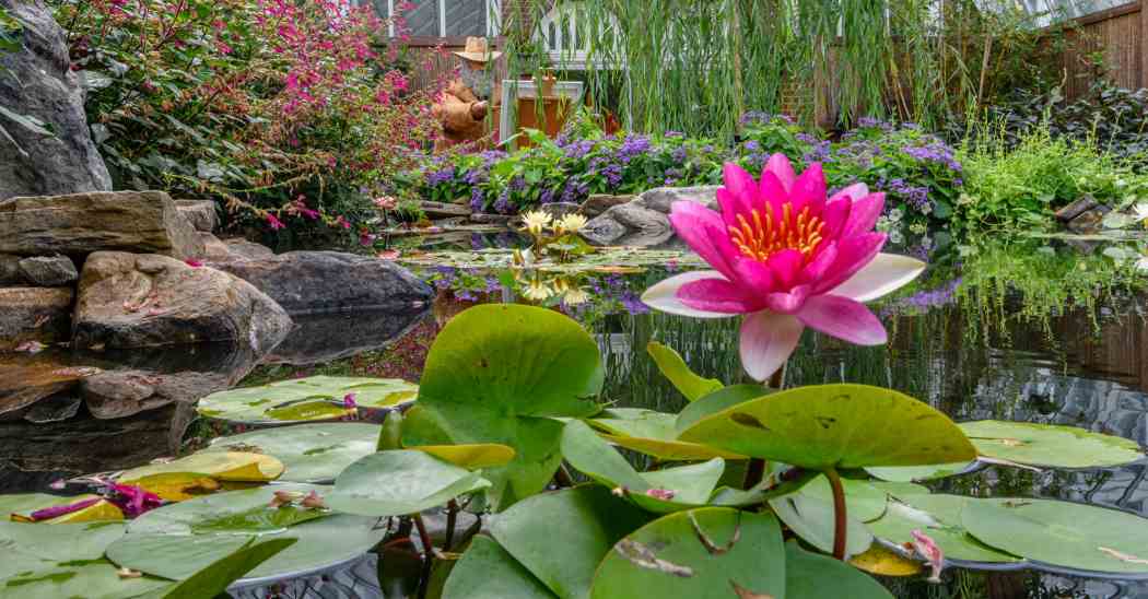 Summer Flower Show 2022: Monet in Bloom Summer Flower Show 2022: Monet in Bloom