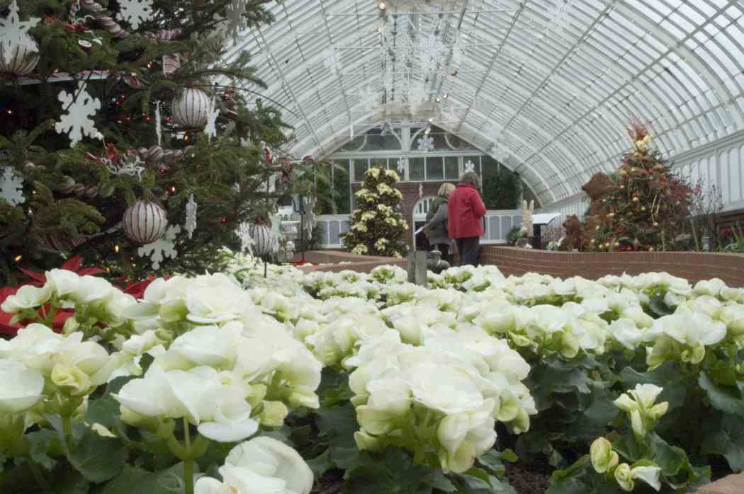 Winter Flower Show 2004: Nature’s Holiday