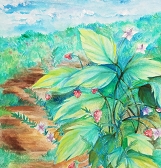 Companion Plants: A Youth Art Exhibition Companion Plants: A Youth Art Exhibition
