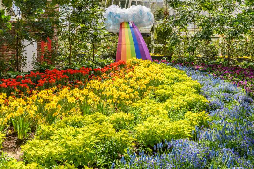 Spring Flower Show 2022: Sunshine and Rainbows