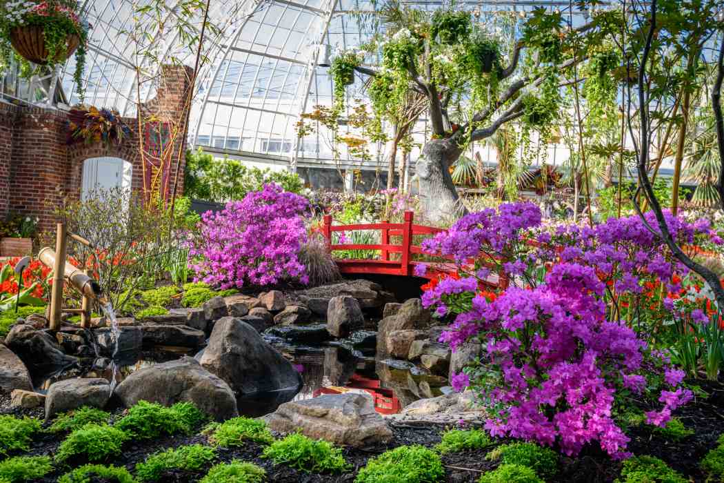 Spring Flower Show 2026: True Colors