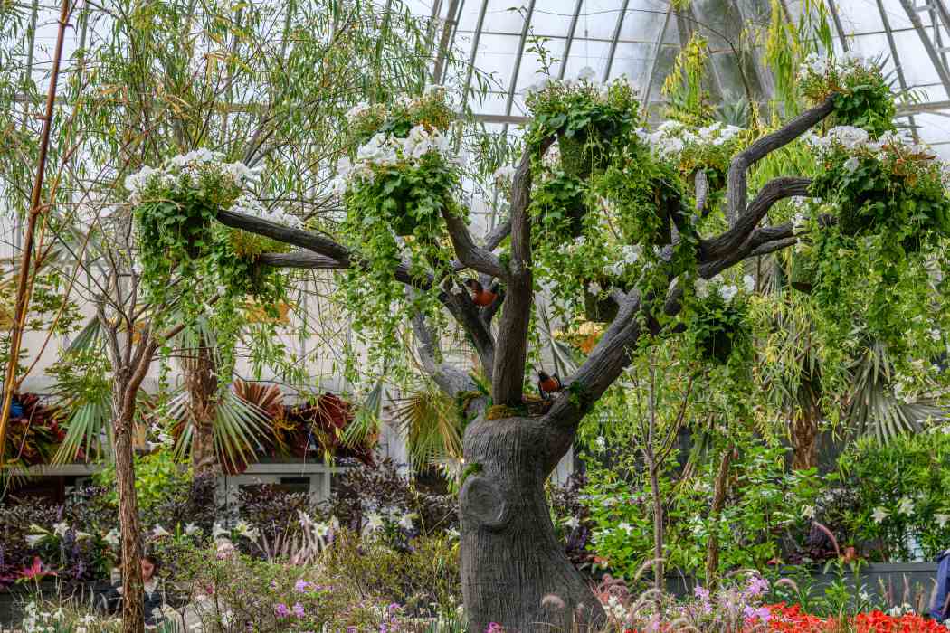 Spring Flower Show 2026: True Colors