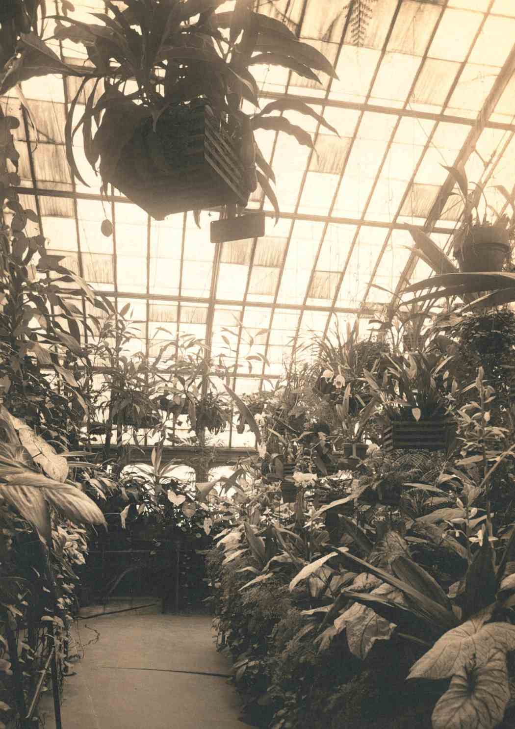 Spring Flower Show 1904