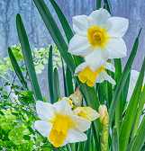 Build-a-Bouquet Night at Phipps