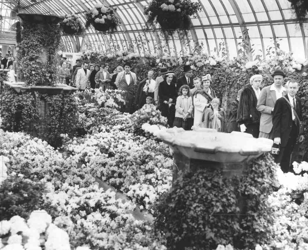 Spring Flower Show 1960