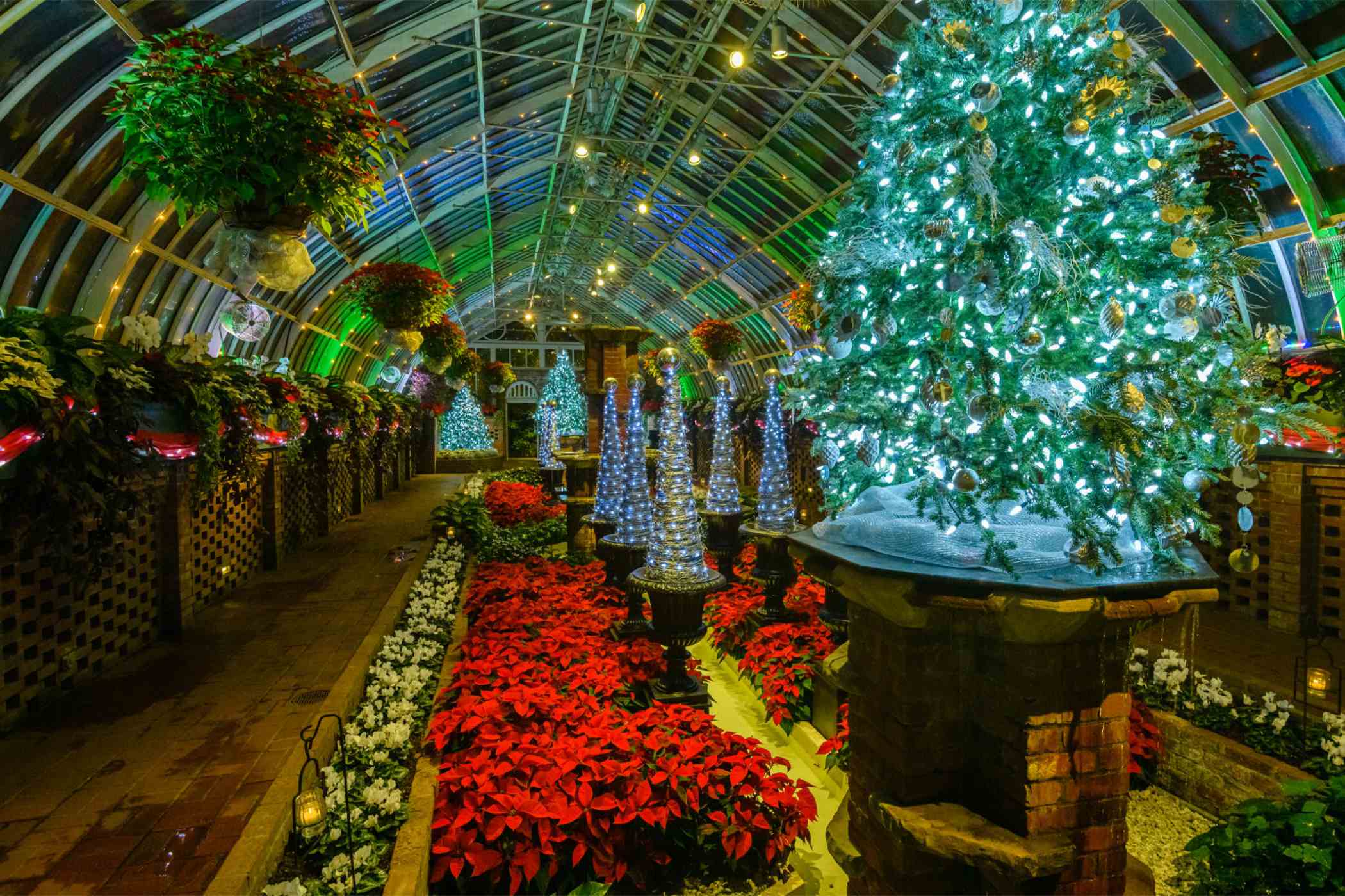 Winter Flower Show and Light Garden 2021 Holiday Magic! Sparkle and