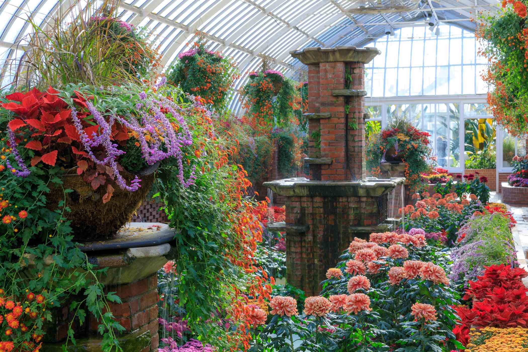 Fall Flower Show 2018: 125 Years of Wonder Phipps Conservatory and