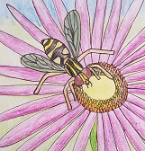 Beneficial Bugs: A Youth Art Exhibition Beneficial Bugs: A Youth Art Exhibition