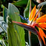 This Week at Phipps: Sept. 28 – Oct. 4