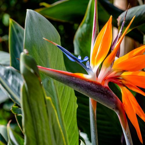 This Week at Phipps: Sept. 28 – Oct. 4