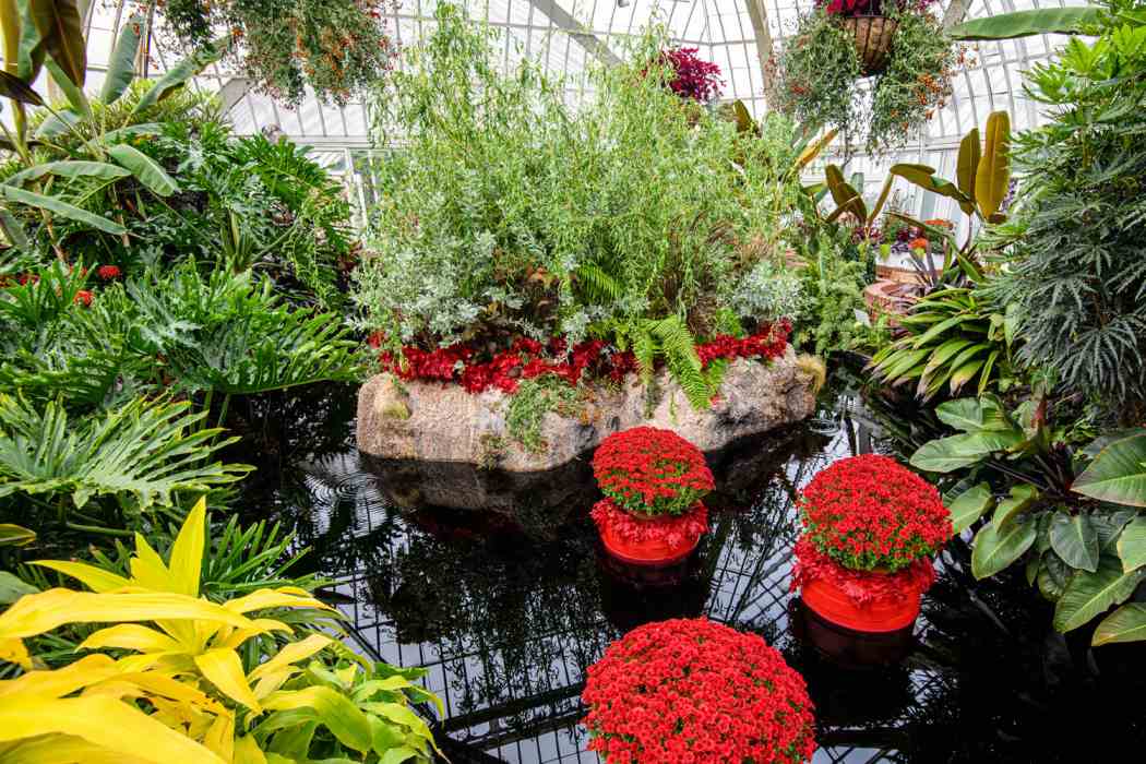 Winter Flower Show and Light Garden 2021: Holiday Magic! Sparkle and Shine