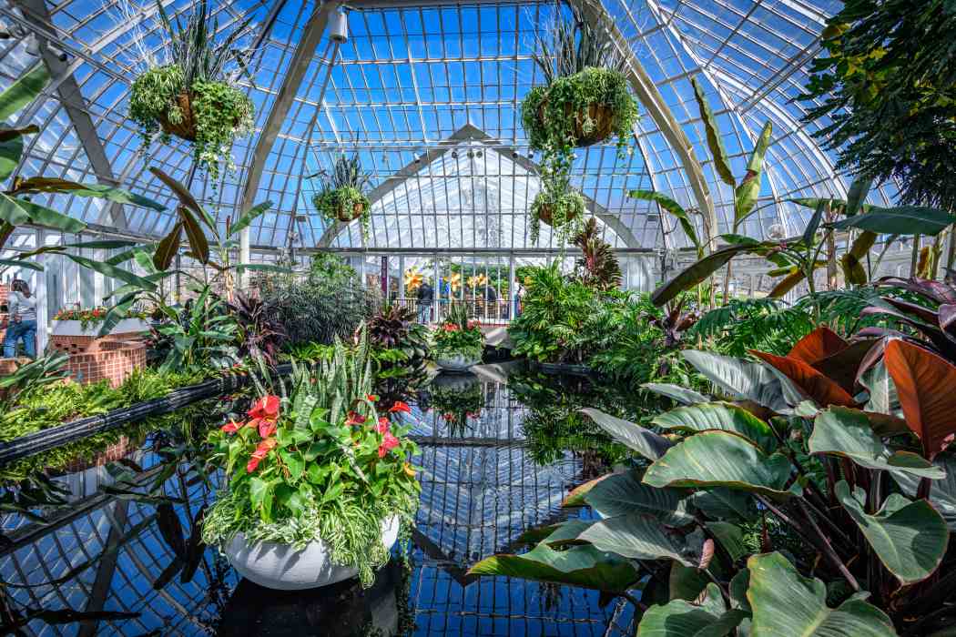 Spring Flower Show 2026: True Colors