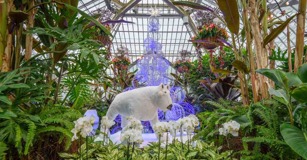 Winter Flower Show 2025: Phipps Holiday Magic