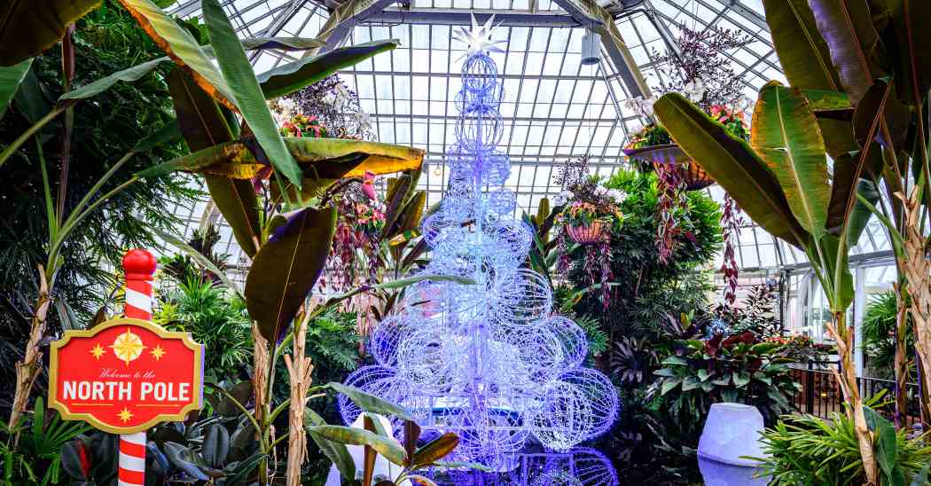 Winter Flower Show 2025: Phipps Holiday Magic