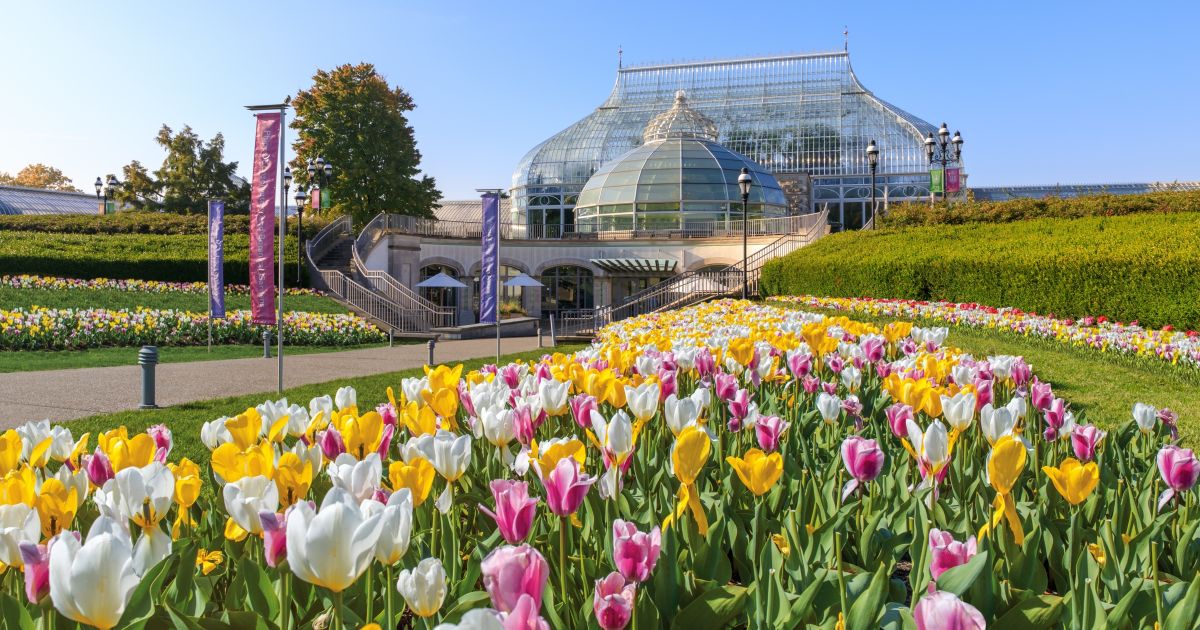 bioPGH: Acorns Ahead!  Phipps Conservatory and Botanical Gardens