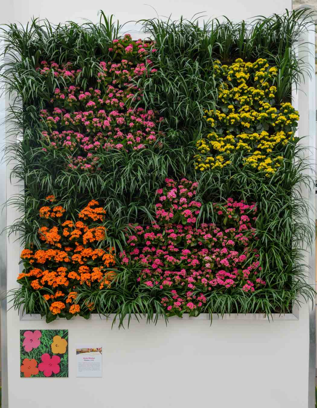 Spring Flower Show 2016: Masterpieces in Bloom