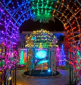 Holiday Magic: Let It Glow! Holiday Magic: Let It Glow!